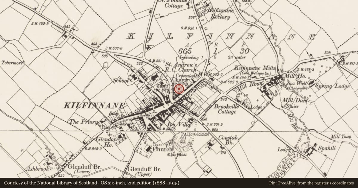 Ordnance Survey six-inch map, 2nd edition (1888–1915) covering the location of Graveyard, Kilfinnane, County Limerick, with a pin at the register's coordinates