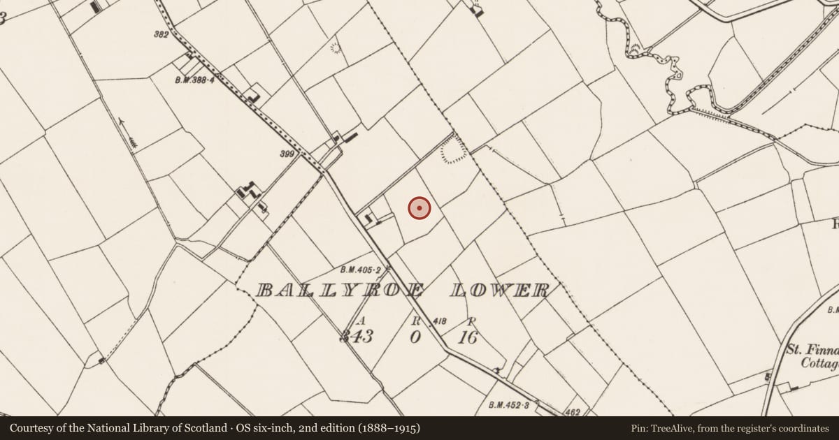 Ordnance Survey six-inch map, 2nd edition (1888–1915) covering the location of Standing stone, Ballyroe Lower, County Limerick, with a pin at the register's coordinates