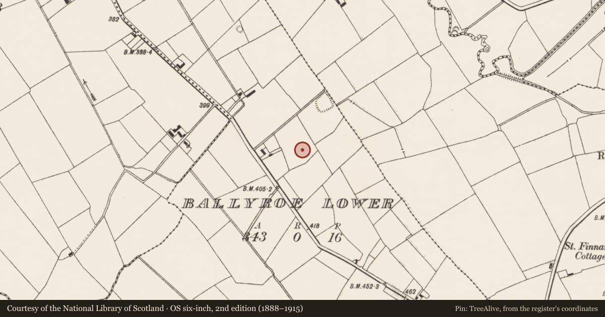 Ordnance Survey six-inch map, 2nd edition (1888–1915) covering the location of Pit, Ballyroe Lower, County Limerick, with a pin at the register's coordinates