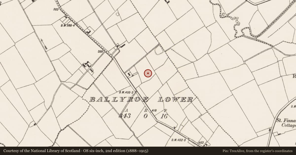 Ordnance Survey six-inch map, 2nd edition (1888–1915) covering the location of Pit, Ballyroe Lower, County Limerick, with a pin at the register's coordinates
