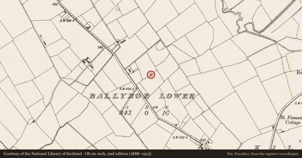 Ordnance Survey six-inch map, 2nd edition (1888–1915) covering the location of Pit, Ballyroe Lower, County Limerick, with a pin at the register's coordinates