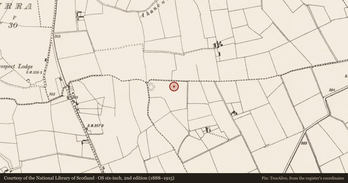 Ordnance Survey six-inch map, 2nd edition (1888–1915) covering the location of Enclosure, Bosnetstown, County Limerick, with a pin at the register's coordinates