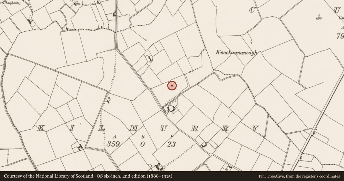 Ordnance Survey six-inch map, 2nd edition (1888–1915) covering the location of Enclosure, Kilmurry, County Limerick, with a pin at the register's coordinates