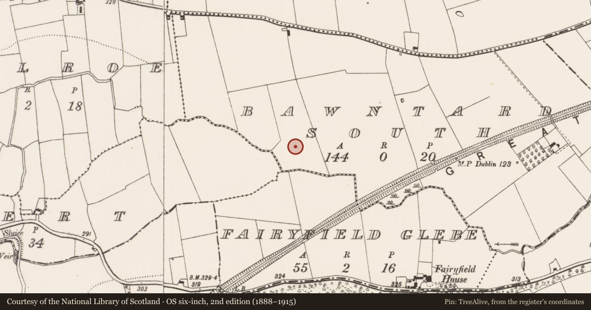 Ordnance Survey six-inch map, 2nd edition (1888–1915) covering the location of Field system, Bawntard South, Fairyfield Glebe, County Limerick, with a pin at the register's coordinates