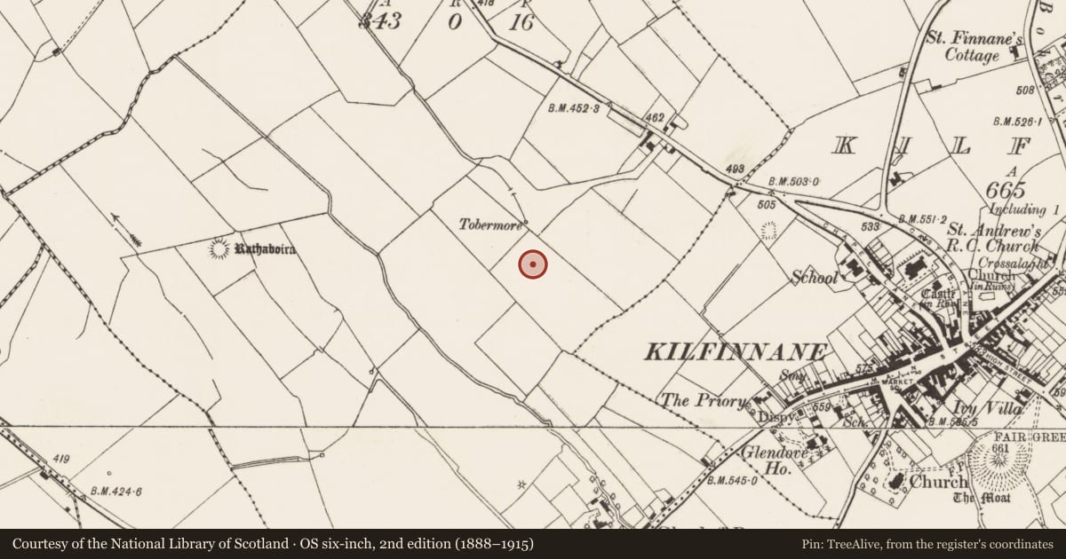 Ordnance Survey six-inch map, 2nd edition (1888–1915) covering the location of Standing stone, Ballyroe Lower, County Limerick, with a pin at the register's coordinates