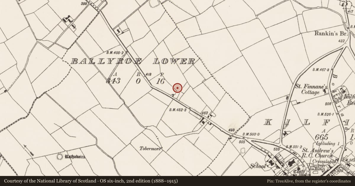 Ordnance Survey six-inch map, 2nd edition (1888–1915) covering the location of Standing stone, Ballyroe Lower, County Limerick, with a pin at the register's coordinates