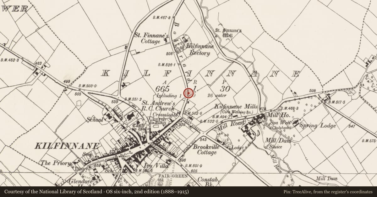 Ordnance Survey six-inch map, 2nd edition (1888–1915) covering the location of Standing stone (present location), Kilfinnane, County Limerick, with a pin at the register's coordinates