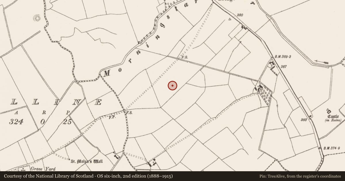 Ordnance Survey six-inch map, 2nd edition (1888–1915) covering the location of Barrow - ditch barrow, Ballynahinch, County Limerick, with a pin at the register's coordinates