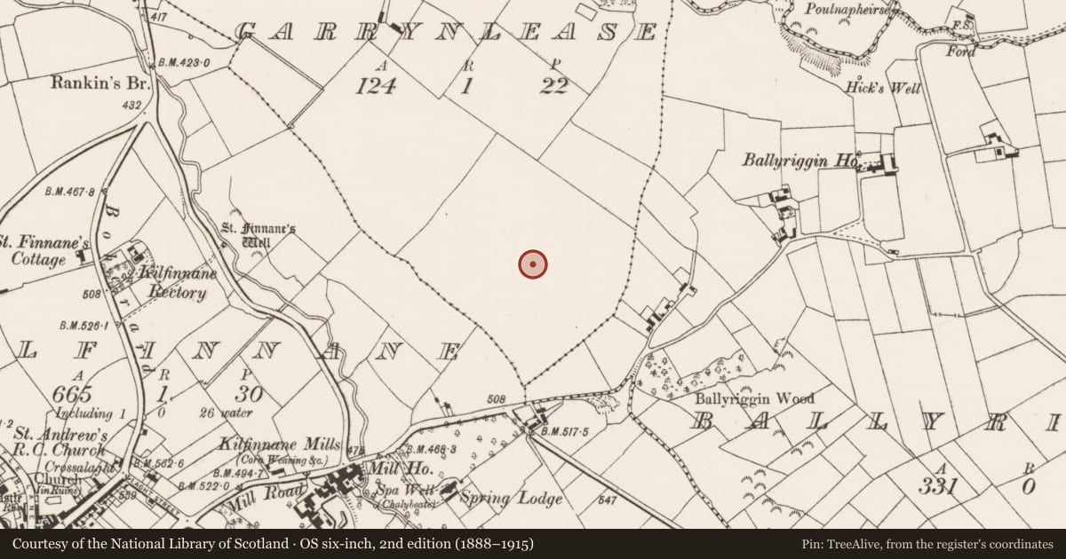 Ordnance Survey six-inch map, 2nd edition (1888–1915) covering the location of Standing stone, Garrynlease, County Limerick, with a pin at the register's coordinates