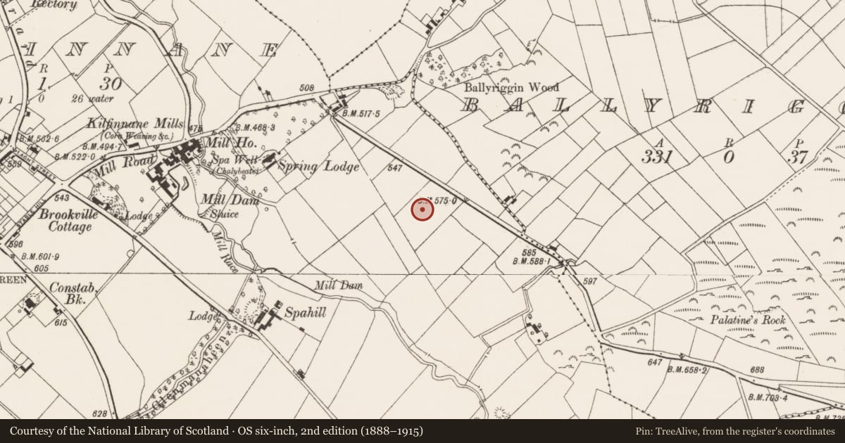 Ordnance Survey six-inch map, 2nd edition (1888–1915) covering the location of Standing stone, Kilfinnane, County Limerick, with a pin at the register's coordinates