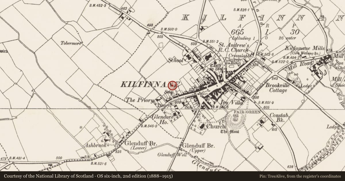 Ordnance Survey six-inch map, 2nd edition (1888–1915) covering the location of Furnace, Kilfinnane, County Limerick, with a pin at the register's coordinates
