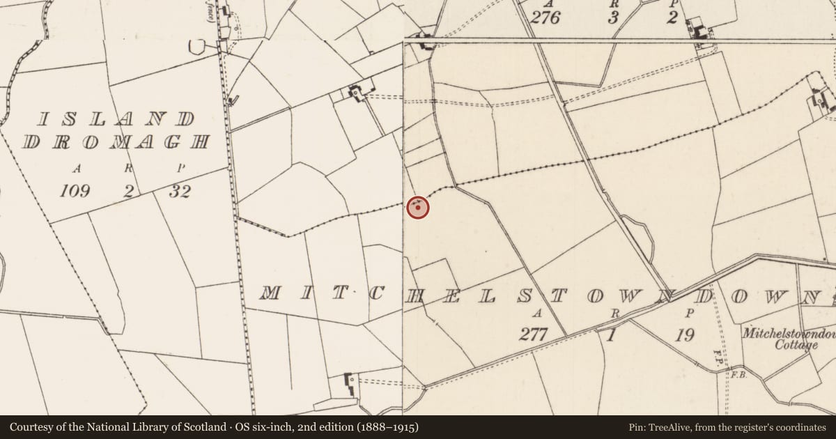 Ordnance Survey six-inch map, 2nd edition (1888–1915) covering the location of Barrow - unclassified, Mitchelstowndown West, County Limerick, with a pin at the register's coordinates