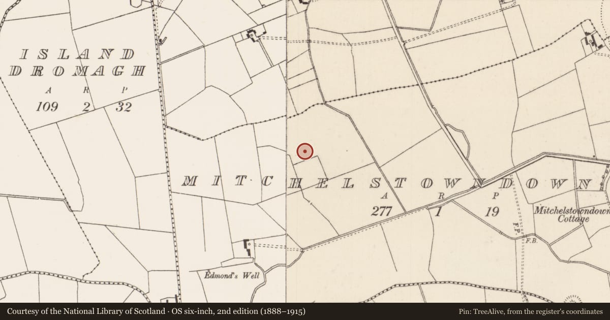 Ordnance Survey six-inch map, 2nd edition (1888–1915) covering the location of Barrow - unclassified, Mitchelstowndown West, County Limerick, with a pin at the register's coordinates