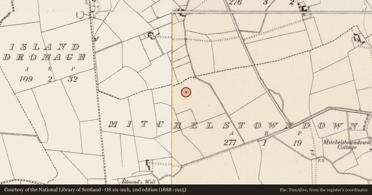 Ordnance Survey six-inch map, 2nd edition (1888–1915) covering the location of Barrow - unclassified, Mitchelstowndown West, County Limerick, with a pin at the register's coordinates