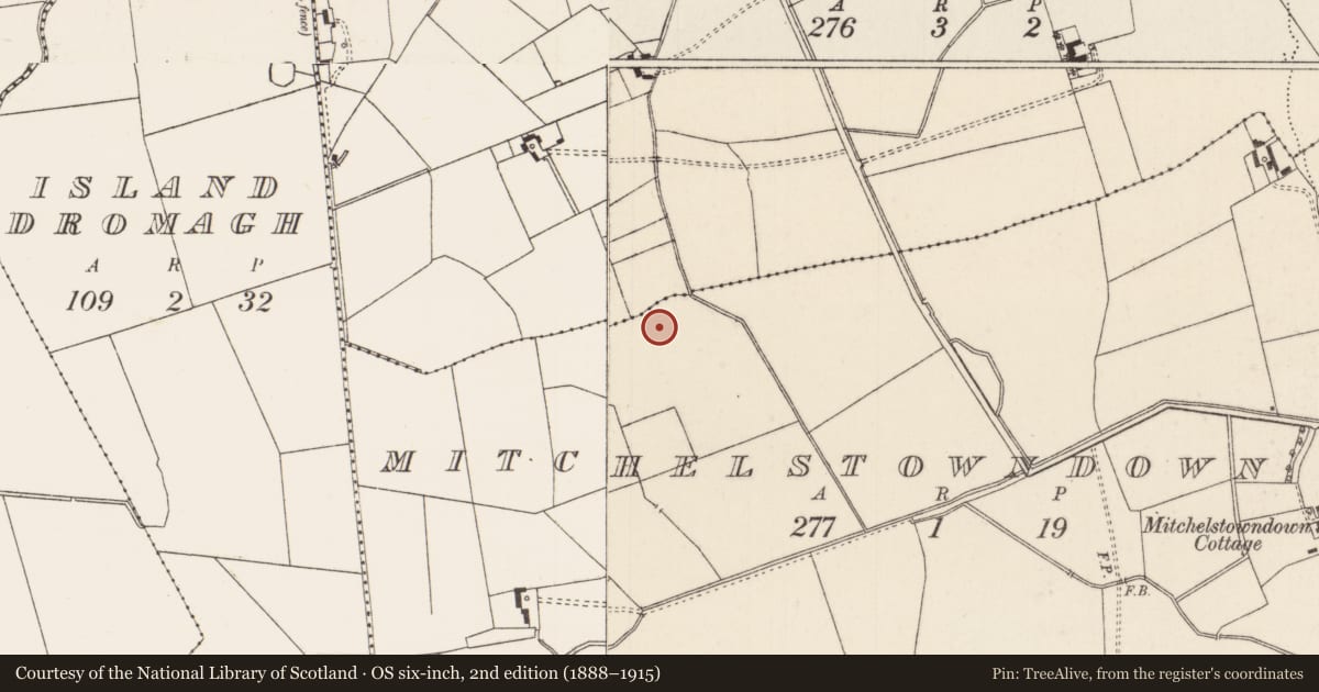 Ordnance Survey six-inch map, 2nd edition (1888–1915) covering the location of Barrow - unclassified, Mitchelstowndown West, County Limerick, with a pin at the register's coordinates