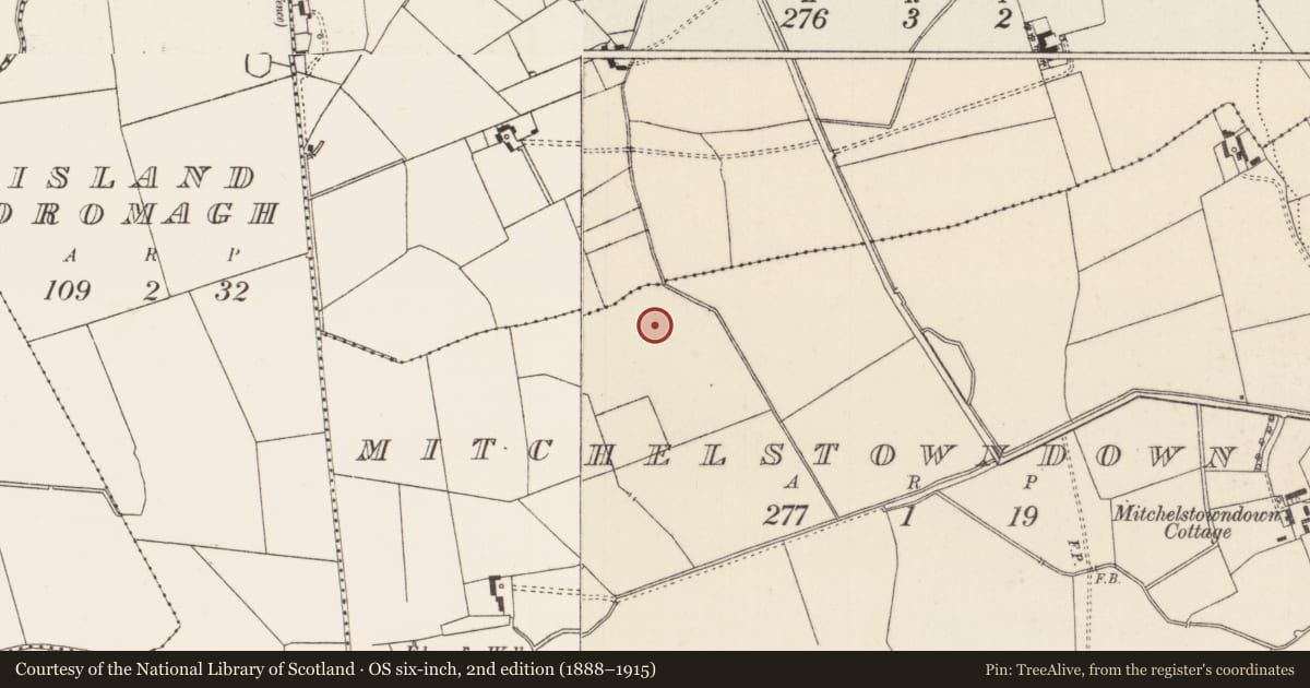 Ordnance Survey six-inch map, 2nd edition (1888–1915) covering the location of Barrow - unclassified, Mitchelstowndown North, County Limerick, with a pin at the register's coordinates