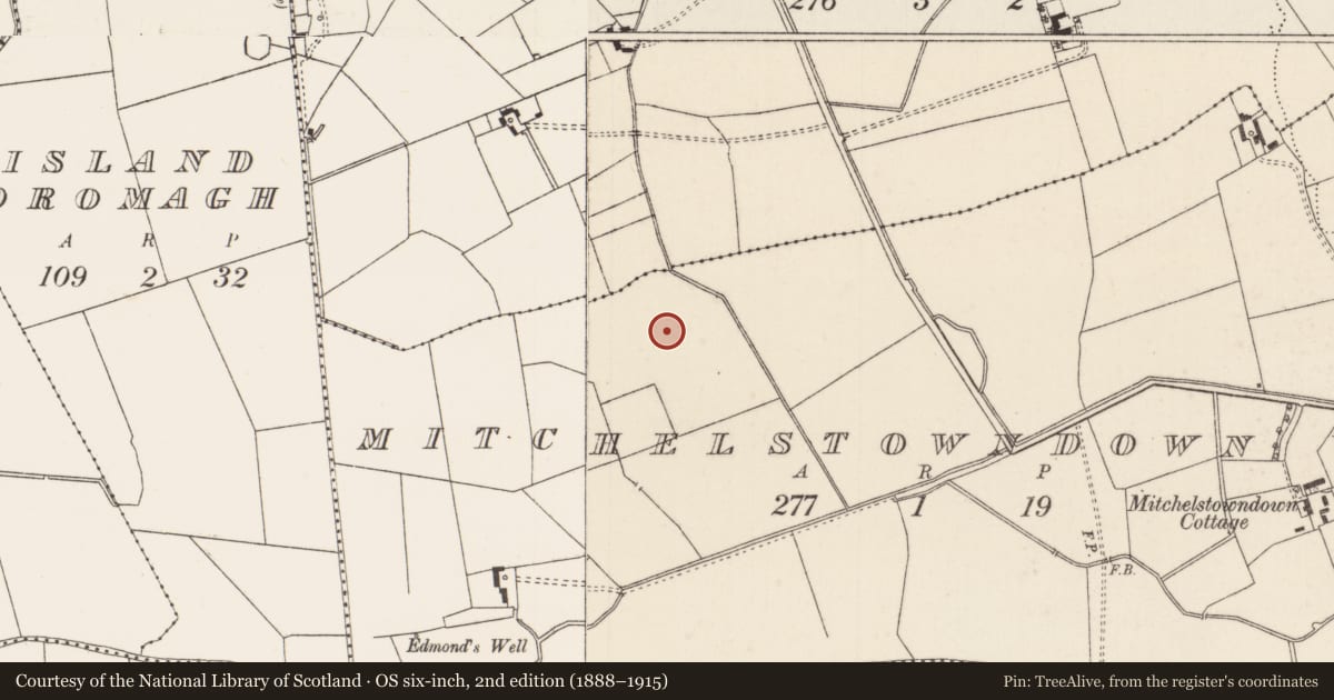 Ordnance Survey six-inch map, 2nd edition (1888–1915) covering the location of Barrow - unclassified, Mitchelstowndown West, County Limerick, with a pin at the register's coordinates