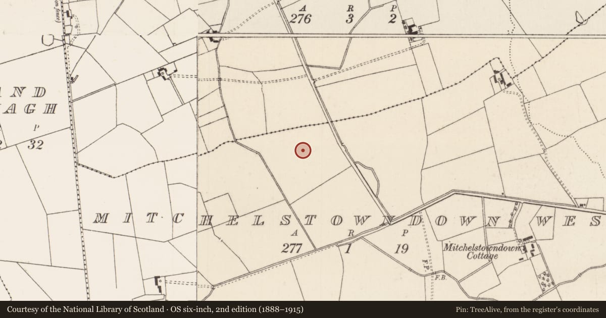 Ordnance Survey six-inch map, 2nd edition (1888–1915) covering the location of Barrow - unclassified, Mitchelstowndown West, County Limerick, with a pin at the register's coordinates