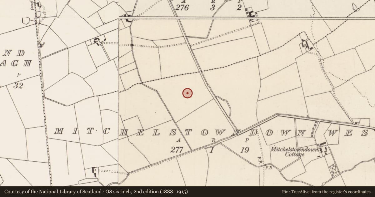 Ordnance Survey six-inch map, 2nd edition (1888–1915) covering the location of Barrow - unclassified, Mitchelstowndown West, County Limerick, with a pin at the register's coordinates