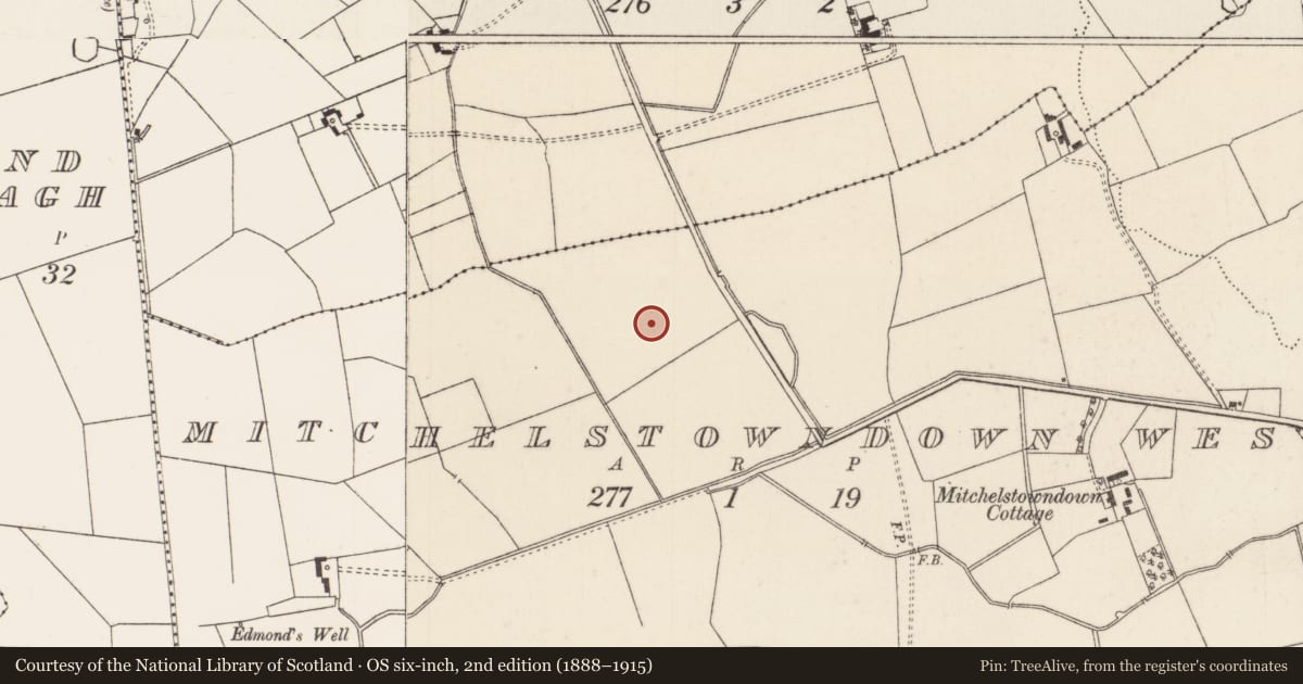 Ordnance Survey six-inch map, 2nd edition (1888–1915) covering the location of Barrow - ditch barrow, Mitchelstowndown West, County Limerick, with a pin at the register's coordinates