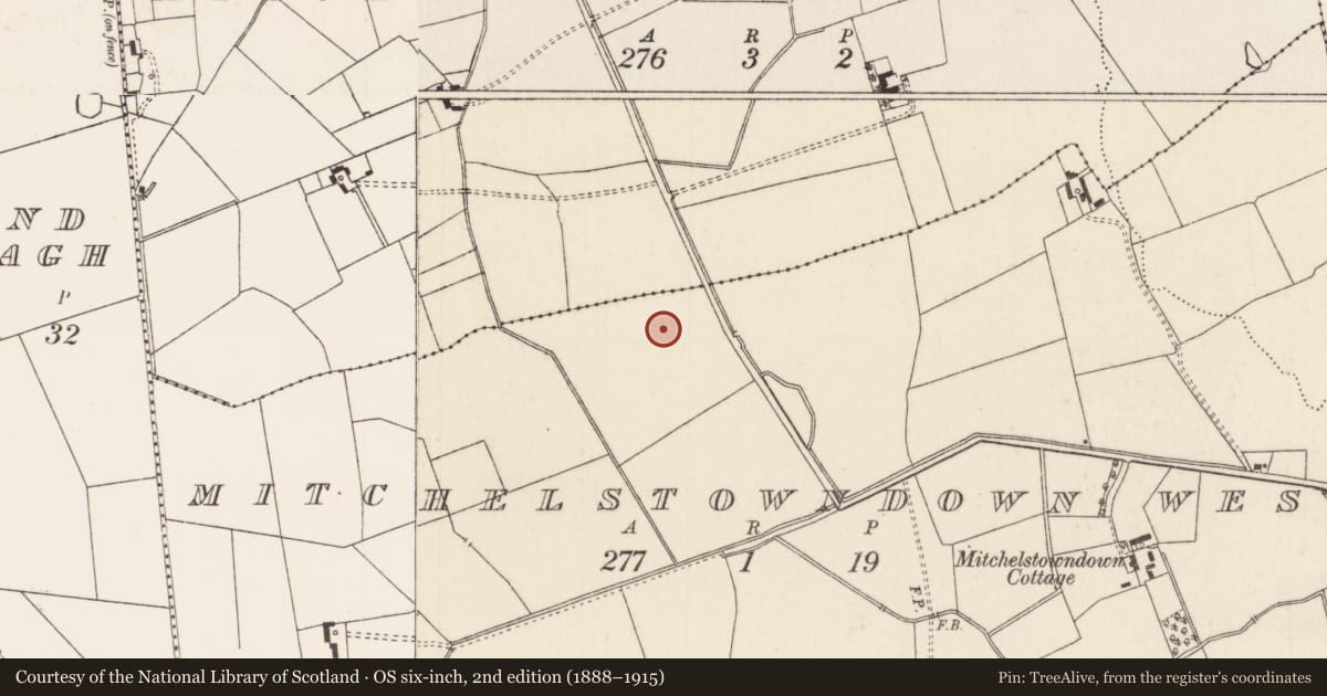 Ordnance Survey six-inch map, 2nd edition (1888–1915) covering the location of Barrow - unclassified, Mitchelstowndown West, County Limerick, with a pin at the register's coordinates