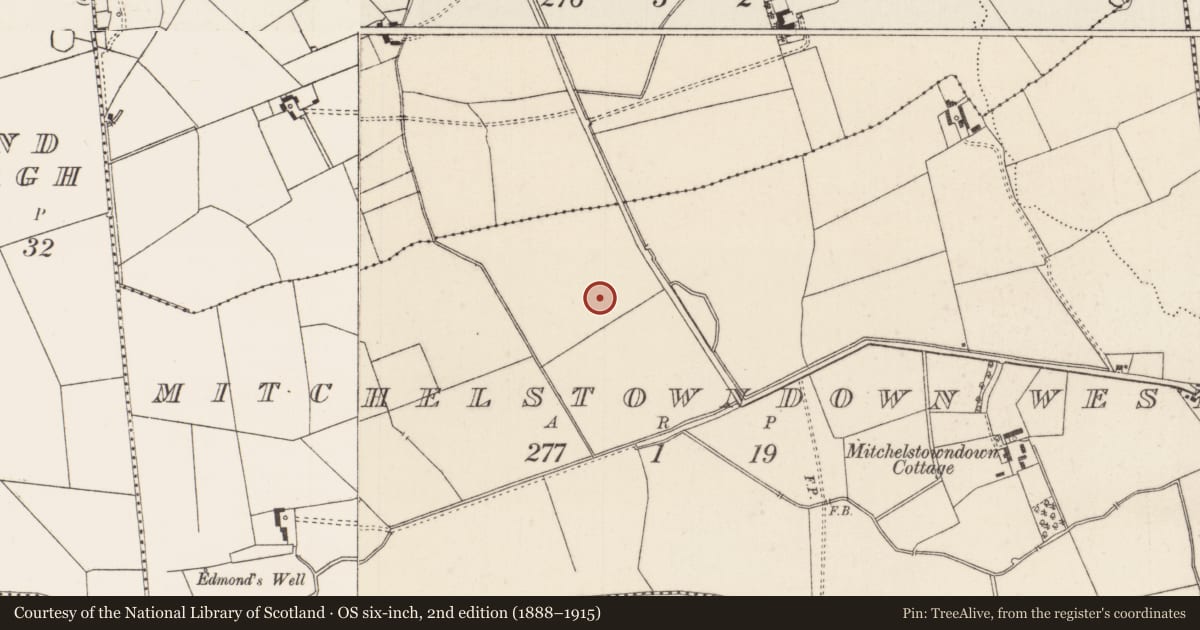 Ordnance Survey six-inch map, 2nd edition (1888–1915) covering the location of Barrow - ditch barrow, Mitchelstowndown West, County Limerick, with a pin at the register's coordinates
