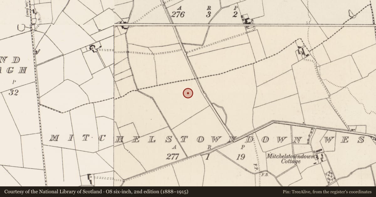 Ordnance Survey six-inch map, 2nd edition (1888–1915) covering the location of Barrow - unclassified, Mitchelstowndown West, County Limerick, with a pin at the register's coordinates