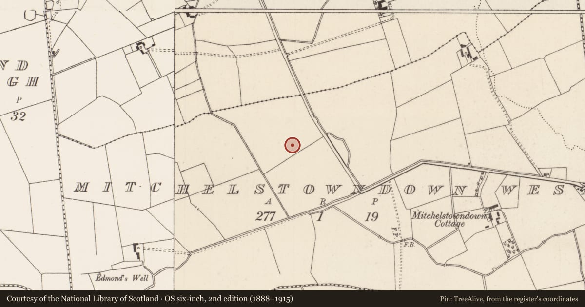 Ordnance Survey six-inch map, 2nd edition (1888–1915) covering the location of Barrow - unclassified, Mitchelstowndown West, County Limerick, with a pin at the register's coordinates