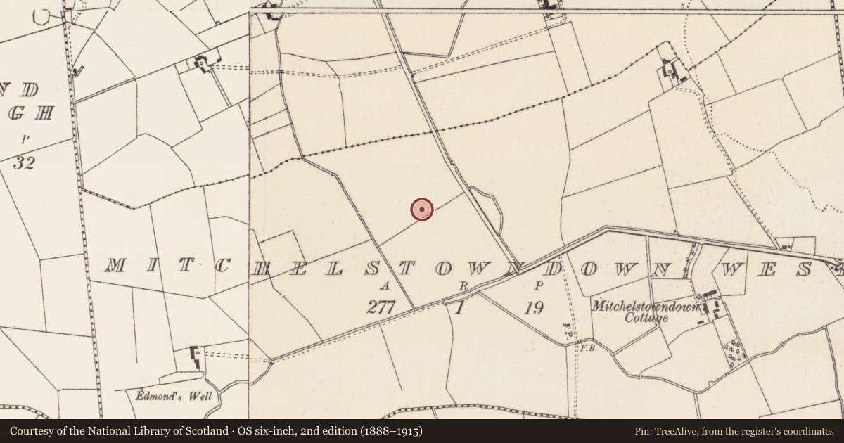 Ordnance Survey six-inch map, 2nd edition (1888–1915) covering the location of Barrow - unclassified, Mitchelstowndown West, County Limerick, with a pin at the register's coordinates
