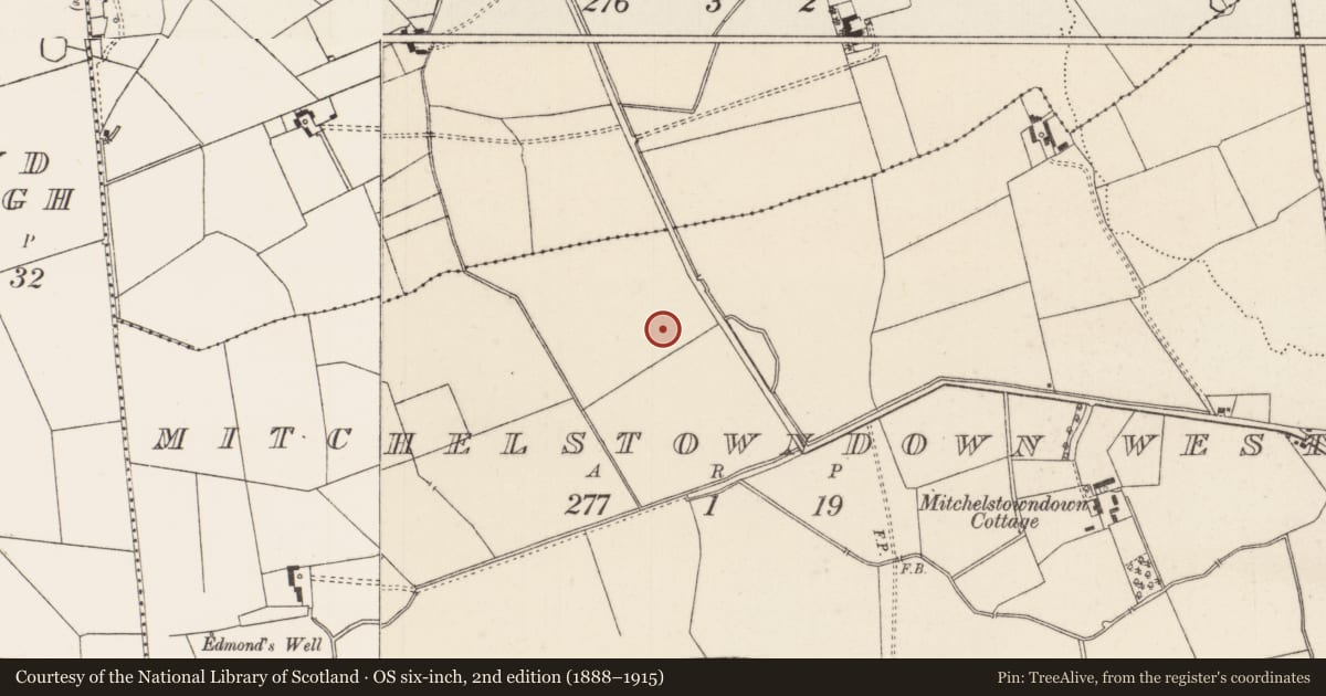 Ordnance Survey six-inch map, 2nd edition (1888–1915) covering the location of Barrow - ditch barrow, Mitchelstowndown West, County Limerick, with a pin at the register's coordinates