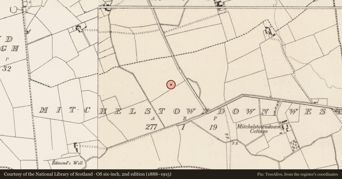 Ordnance Survey six-inch map, 2nd edition (1888–1915) covering the location of Barrow - ditch barrow, Mitchelstowndown West, County Limerick, with a pin at the register's coordinates