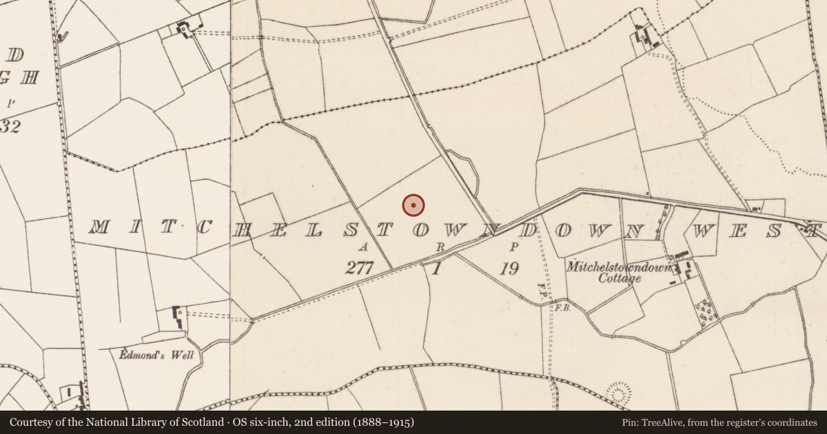 Ordnance Survey six-inch map, 2nd edition (1888–1915) covering the location of Barrow - unclassified, Mitchelstowndown West, County Limerick, with a pin at the register's coordinates