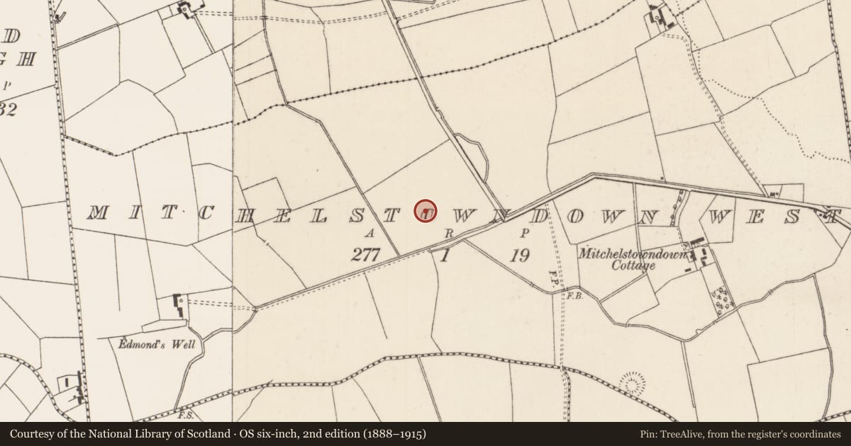 Ordnance Survey six-inch map, 2nd edition (1888–1915) covering the location of Barrow - ditch barrow, Mitchelstowndown West, County Limerick, with a pin at the register's coordinates