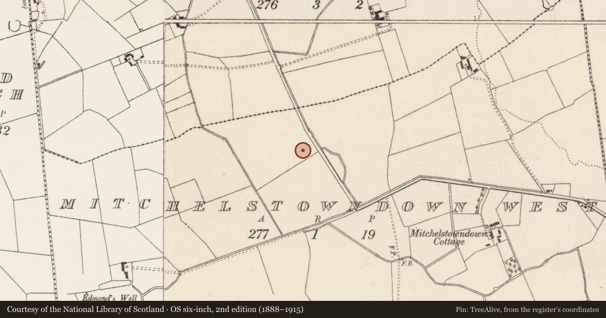 Ordnance Survey six-inch map, 2nd edition (1888–1915) covering the location of Barrow - ditch barrow, Mitchelstowndown West, County Limerick, with a pin at the register's coordinates