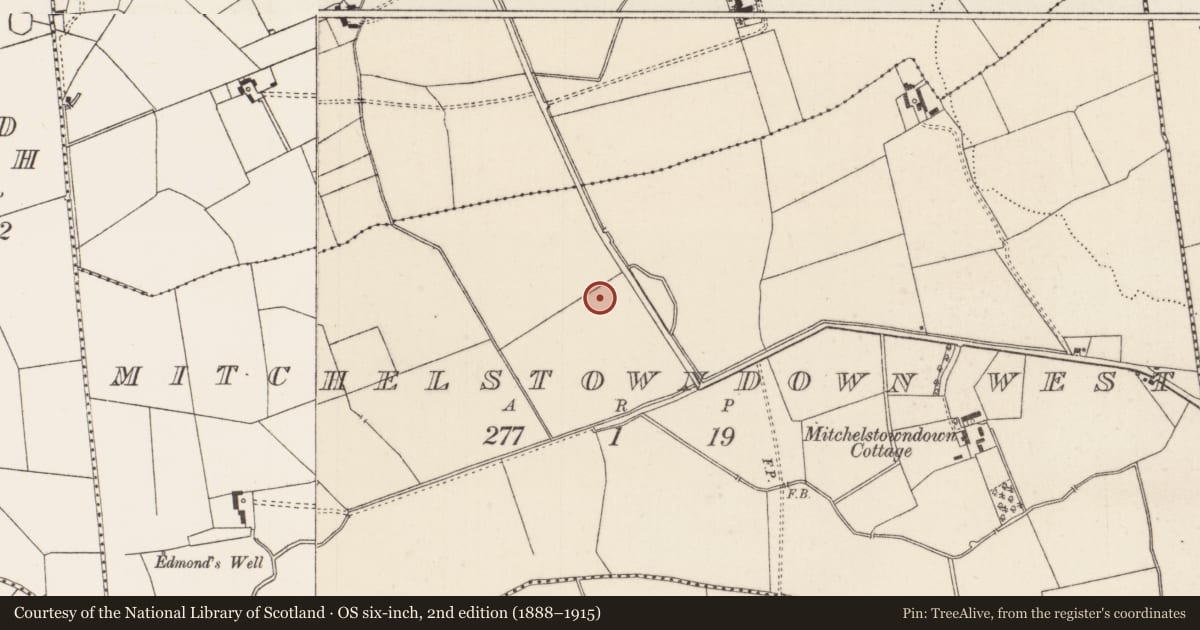Ordnance Survey six-inch map, 2nd edition (1888–1915) covering the location of Barrow - ditch barrow, Mitchelstowndown West, County Limerick, with a pin at the register's coordinates