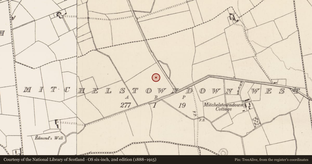 Ordnance Survey six-inch map, 2nd edition (1888–1915) covering the location of Barrow - ditch barrow, Mitchelstowndown West, County Limerick, with a pin at the register's coordinates