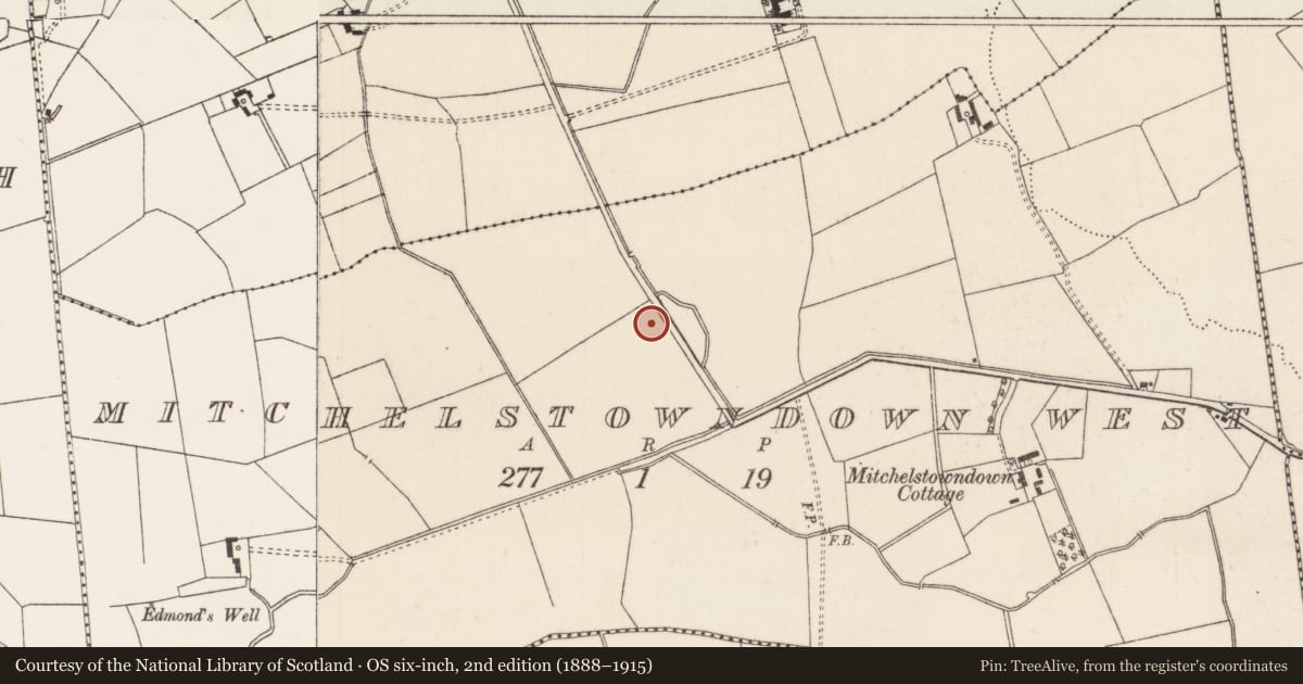 Ordnance Survey six-inch map, 2nd edition (1888–1915) covering the location of Barrow - ditch barrow, Mitchelstowndown West, County Limerick, with a pin at the register's coordinates