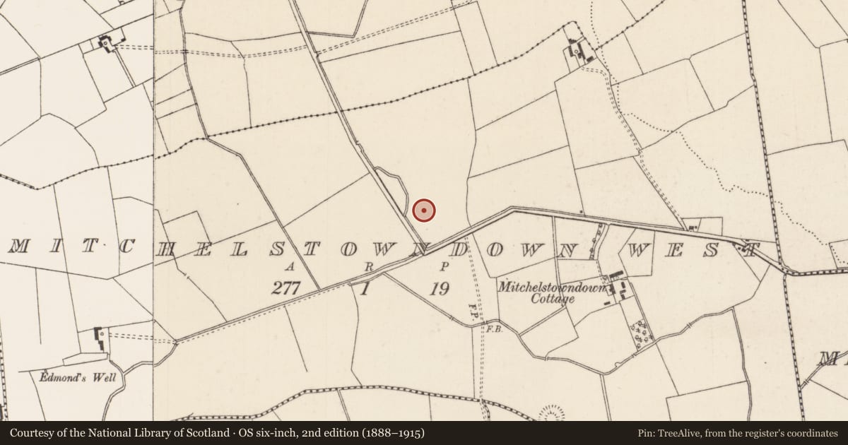 Ordnance Survey six-inch map, 2nd edition (1888–1915) covering the location of Barrow - unclassified, Mitchelstowndown West, County Limerick, with a pin at the register's coordinates