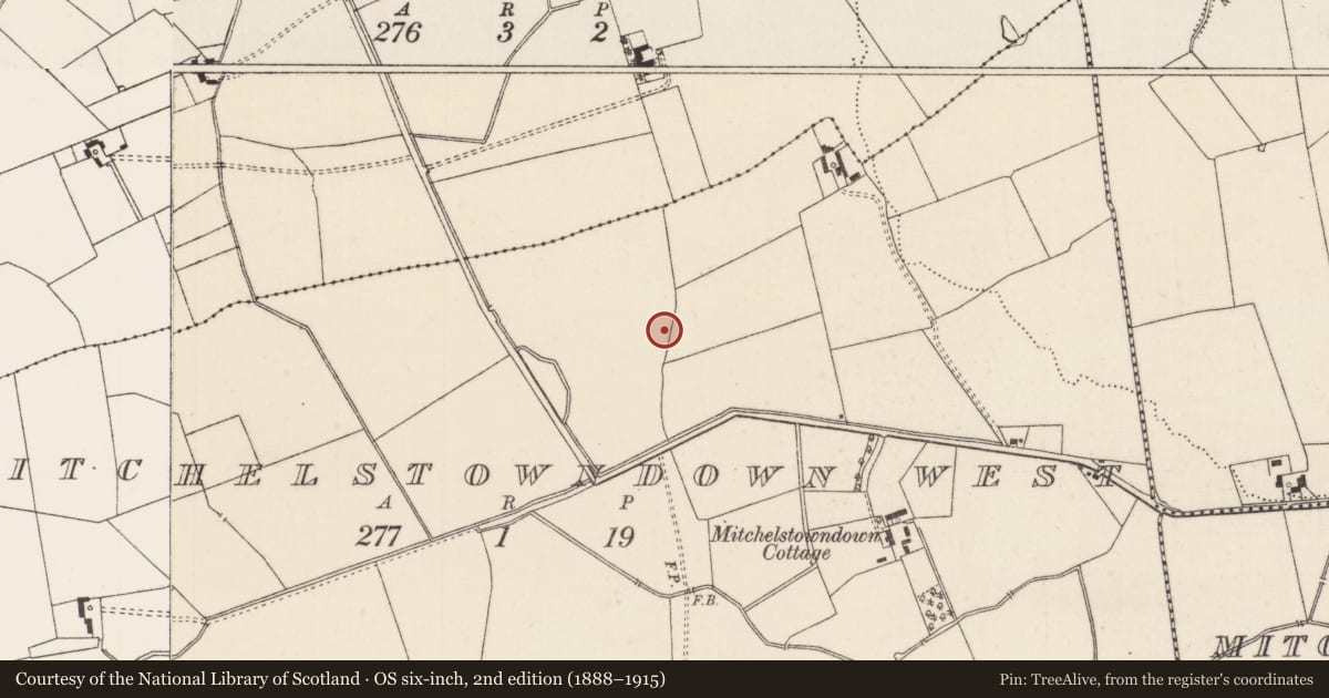Ordnance Survey six-inch map, 2nd edition (1888–1915) covering the location of Barrow - unclassified, Mitchelstowndown West, County Limerick, with a pin at the register's coordinates