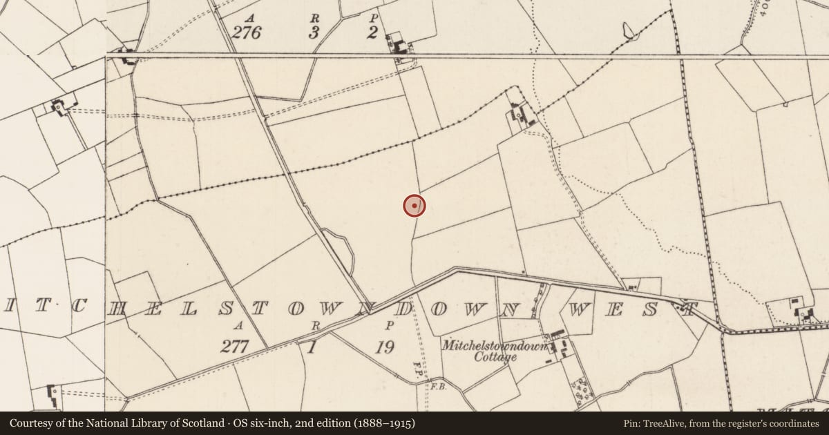 Ordnance Survey six-inch map, 2nd edition (1888–1915) covering the location of Barrow - unclassified, Mitchelstowndown West, County Limerick, with a pin at the register's coordinates
