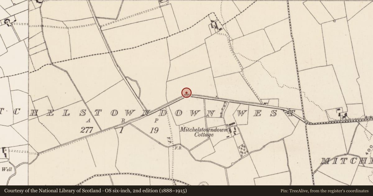 Ordnance Survey six-inch map, 2nd edition (1888–1915) covering the location of Earthwork, Mitchelstowndown West, County Limerick, with a pin at the register's coordinates