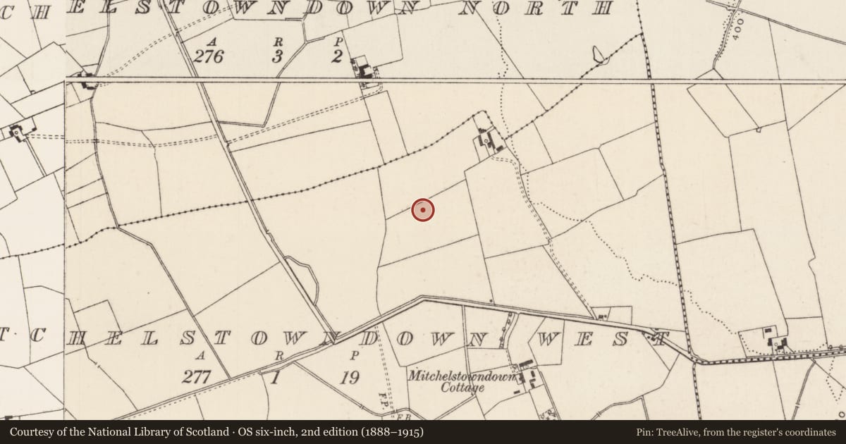 Ordnance Survey six-inch map, 2nd edition (1888–1915) covering the location of Barrow - unclassified, Mitchelstowndown West, County Limerick, with a pin at the register's coordinates