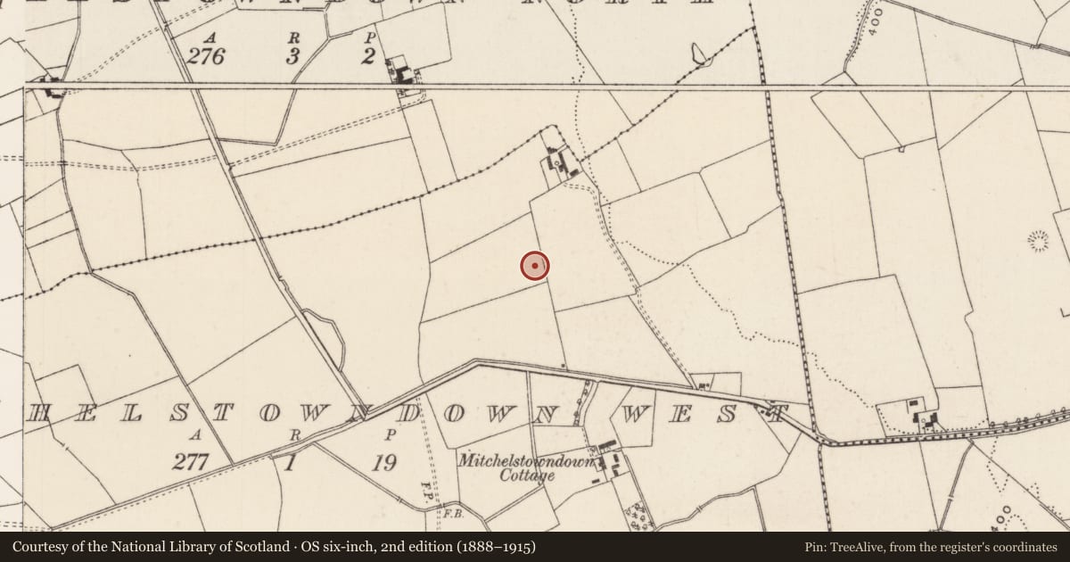Ordnance Survey six-inch map, 2nd edition (1888–1915) covering the location of Fulacht fia, Mitchelstowndown West, County Limerick, with a pin at the register's coordinates