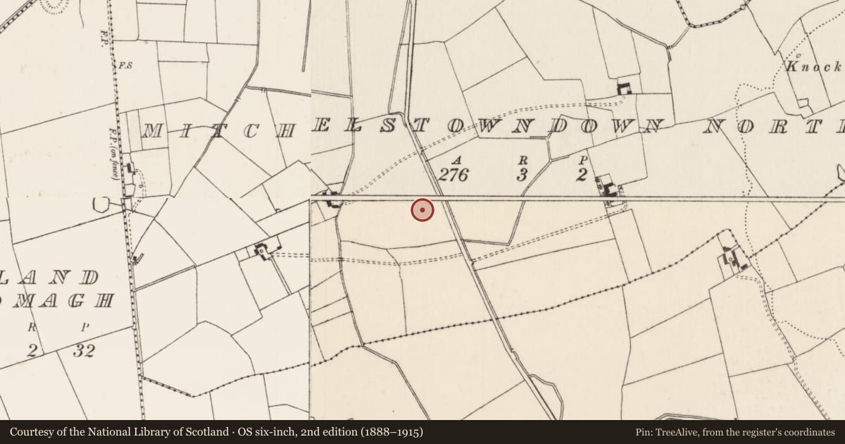Ordnance Survey six-inch map, 2nd edition (1888–1915) covering the location of Earthwork, Mitchelstowndown North, County Limerick, with a pin at the register's coordinates