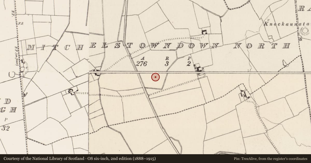 Ordnance Survey six-inch map, 2nd edition (1888–1915) covering the location of Barrow - ditch barrow, Mitchelstowndown North, County Limerick, with a pin at the register's coordinates