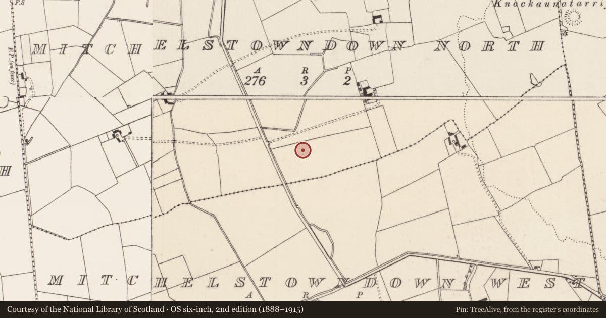 Ordnance Survey six-inch map, 2nd edition (1888–1915) covering the location of Fulacht fia, Mitchelstowndown North, County Limerick, with a pin at the register's coordinates