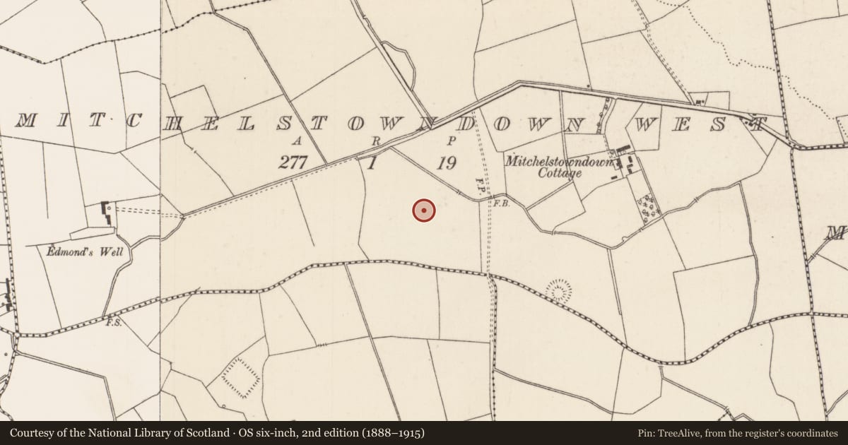 Ordnance Survey six-inch map, 2nd edition (1888–1915) covering the location of Barrow - ditch barrow, Mitchelstowndown West, County Limerick, with a pin at the register's coordinates