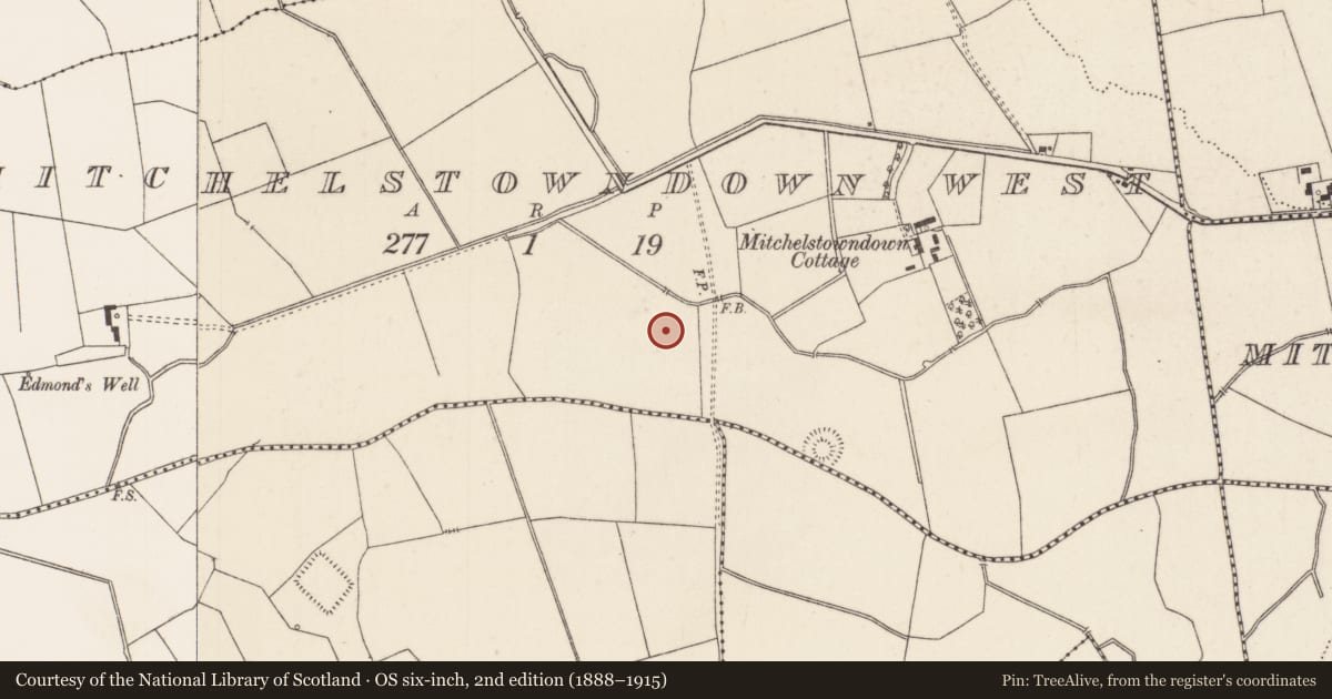 Ordnance Survey six-inch map, 2nd edition (1888–1915) covering the location of Earthwork, Mitchelstowndown West, County Limerick, with a pin at the register's coordinates