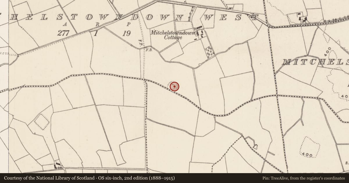 Ordnance Survey six-inch map, 2nd edition (1888–1915) covering the location of Barrow - ditch barrow, Mitchelstowndown West, County Limerick, with a pin at the register's coordinates