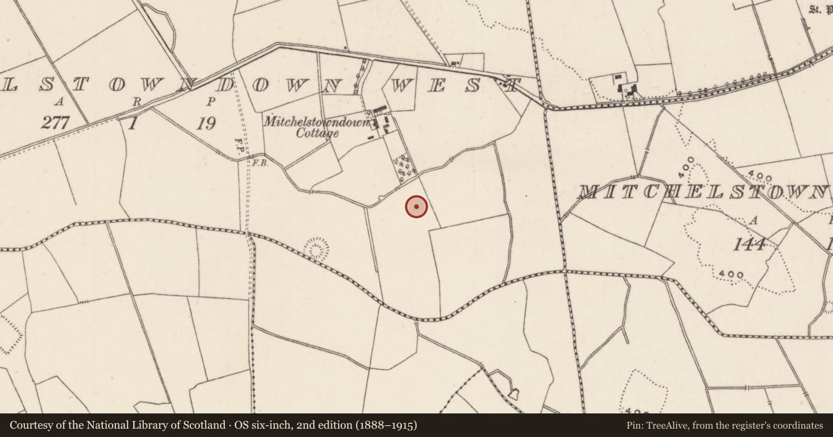 Ordnance Survey six-inch map, 2nd edition (1888–1915) covering the location of Earthwork, Mitchelstowndown West, County Limerick, with a pin at the register's coordinates